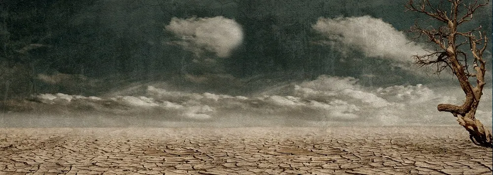 Contos de Guimarães Rosa - Primeiras Estórias | Fantástica Cultural