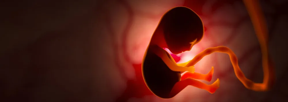 Mulheres Anti-Aborto: se apenas homens engravidassem, toda mulher seria pró-vida | Fantástica Cultural