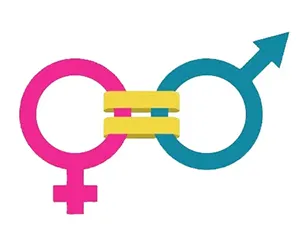 Feminicídio Solucionado: taxa chega a 0% nos últimos anos