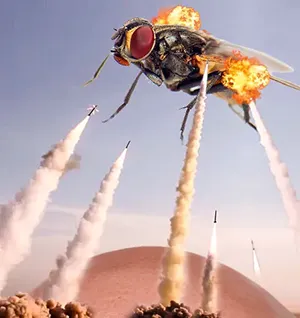 Guerra às Moscas - Arte de Pirineu