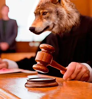 O Lobo Será Justo - Arte de Pirineu