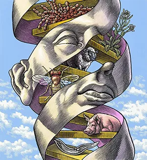 Religião e Ciência: É Possível Conciliá-las? Religião e Ciência: É Possível Conciliá-las?
