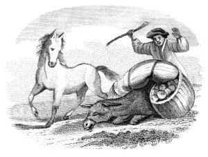 O Cavalo e o Burro - Fábulas de Esopo
