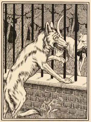 O Lobo e o Cão - Fábulas de Esopo