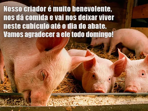 Perguntas Sinceras aos Religiosos - Hierarquia Celeste, Perfeição, Livre-Arbítrio