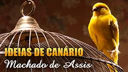 Ideias de Canário - Machado de Assis | Conto Completo