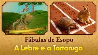 A Lebre e a Tartaruga - Fábulas de Esopo