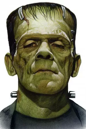 frankenstein mary shelley 1 frankenstein mary shelley 1