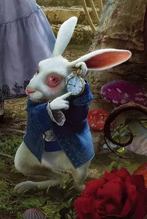 alice no pais das maravilhas coelho alice no pais das maravilhas coelho