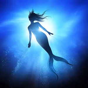 Sereia - iStock