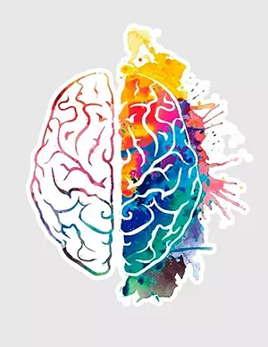 cerebro cerebro