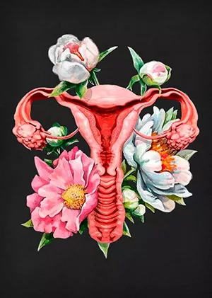 utero mulher flores