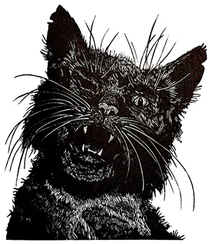 edgar allan poe o gato preto horror