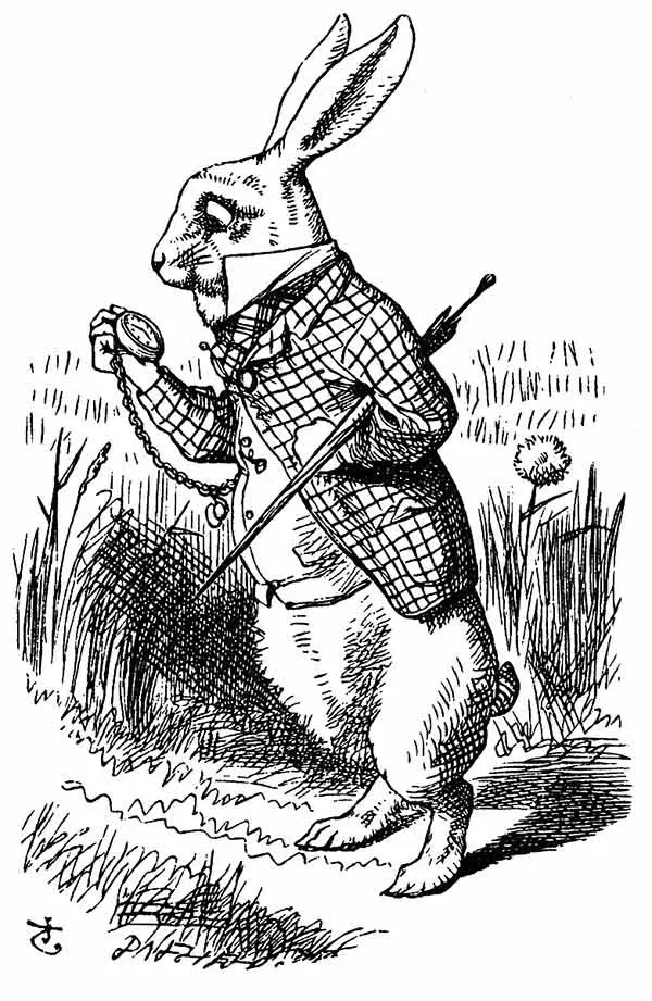 Coelho Branco - Alice no País das Maravilhas - John Tenniel