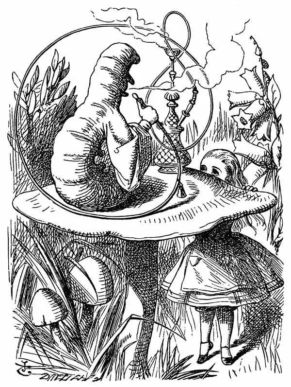 Lagarta - Alice no País das Maravilhas - John Tenniel