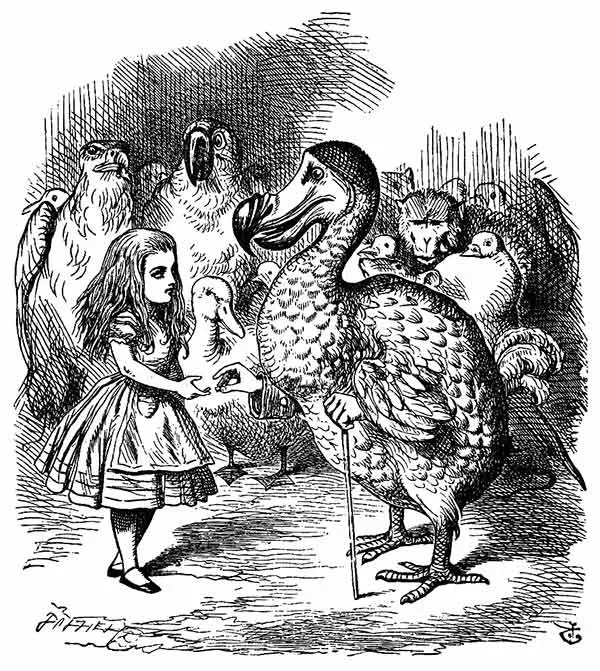 Dodo - Alice no País das Maravilhas - John Tenniel