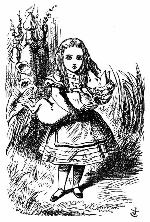 Bebê Leitão - Alice no País das Maravilhas - John Tenniel