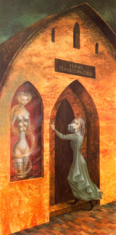 Visita ao Cirurgião Plástico - Remedios Varo