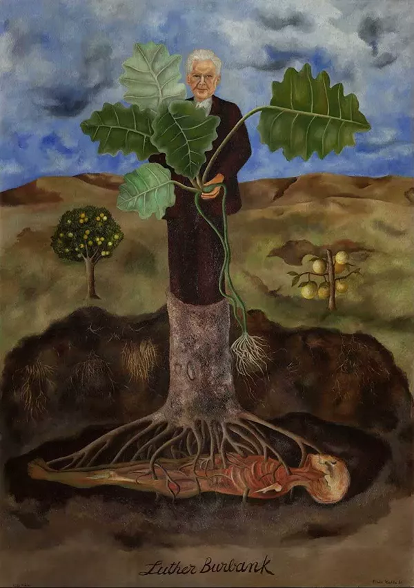 Retrato de Luther Burbank (1931) - Pintura de Frida Kahlo