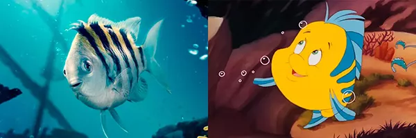 Flounder - live action vs. desenho animado Flounder - live action vs. desenho animado