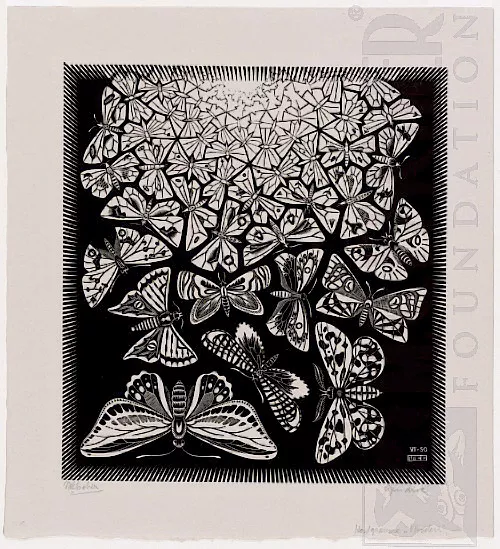 Borboletas (1950) - Xilogravura - M. C. Escher