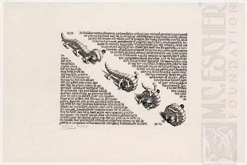 Enrolando-se (1951) - Xilogravura - M. C. Escher