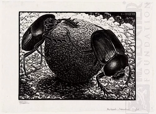 Escaravelhos (1935) - Xilogravura - M. C. Escher