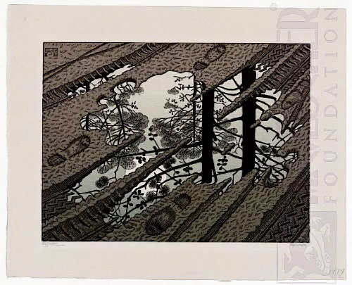 Poça (1952) - Xilogravura - M. C. Escher