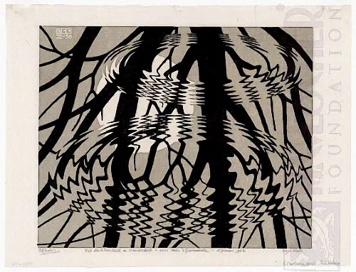 Superfície Ondulada (1950) - Litogravura - M. C. Escher