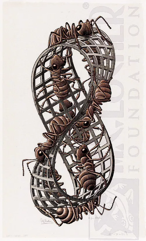 Fita de Möbius II (Formigas Vermelhas) (1963) - Xilogravura - M. C. Escher