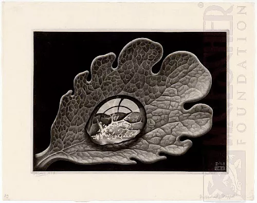 Gota (Gota de Orvalho) (1948) - Mezzotint - M. C. Escher