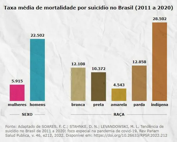 taxas estatisticas de suicidio na populacao brasileira por raca etnia e sexo brasil