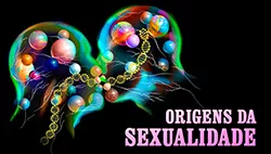 Nossa Orientação Sexual é Determinada no Útero - Ciência da Sexualidade