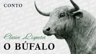 O Búfalo - Clarice Lispector | Conto Completo